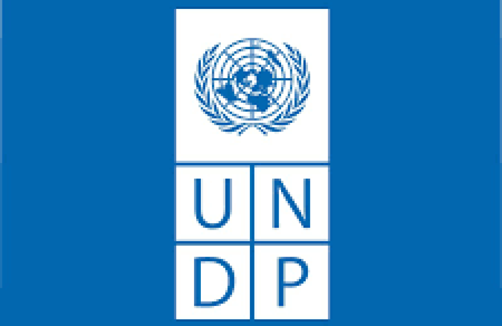 United Nations Development Programme(UNDP) Name