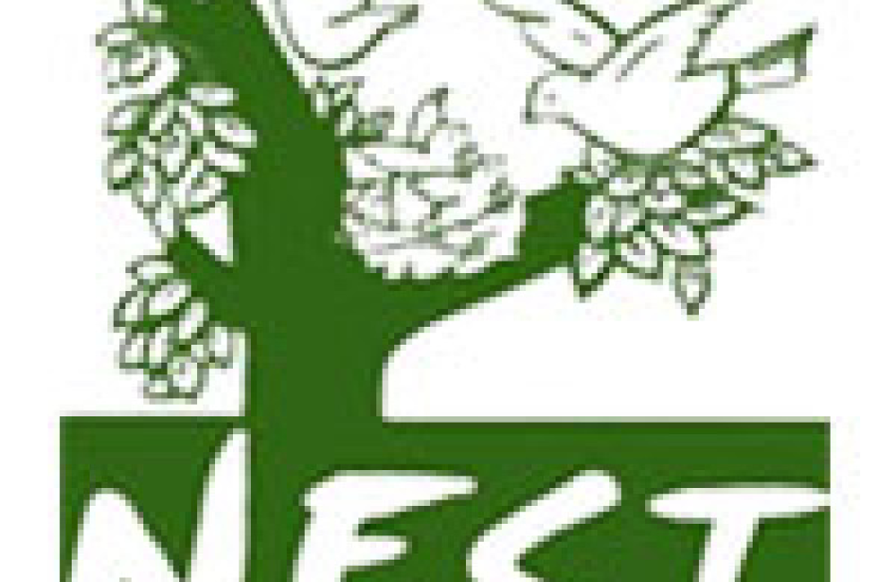NEST Pokhara Logo