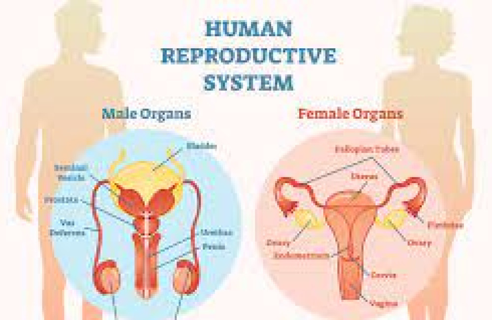 Reproductive Health Supplies Coalition (RHSC) Name