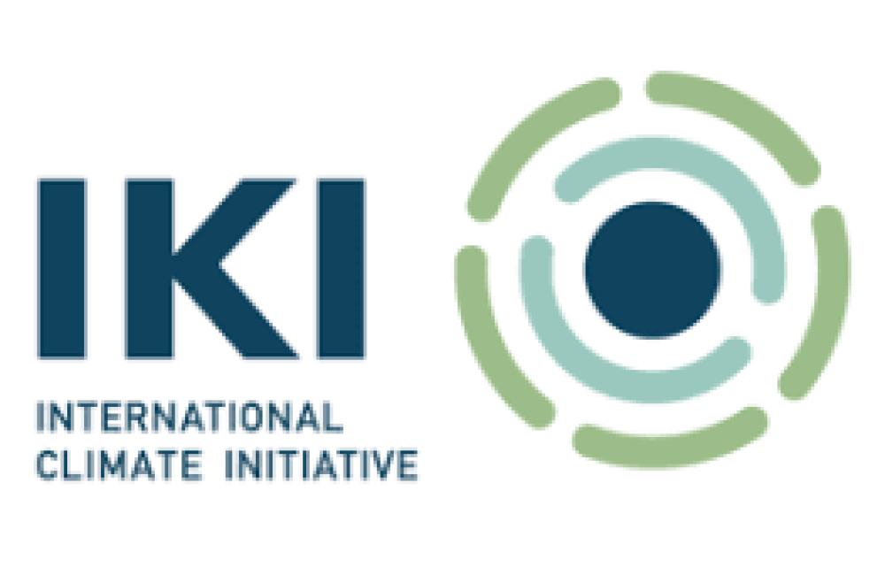 International Climate Initiative (IKI) Name