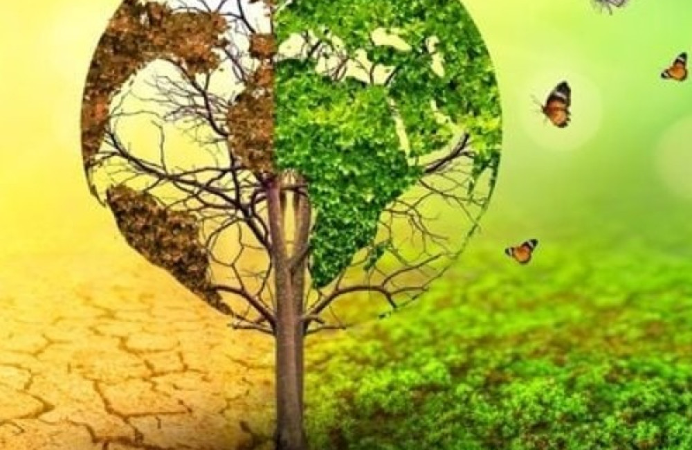 The Pulitzer Center Logo