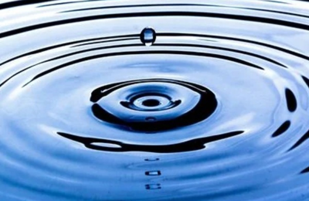 Water Witness Fair Logo