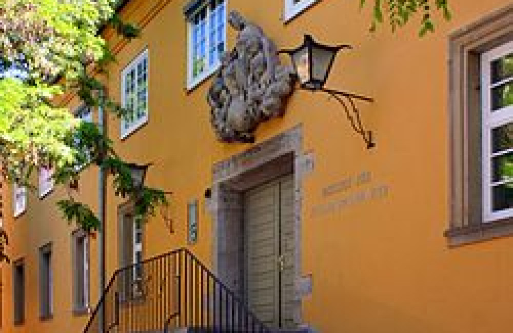 Institute for Foreign Cultural Relations Logo