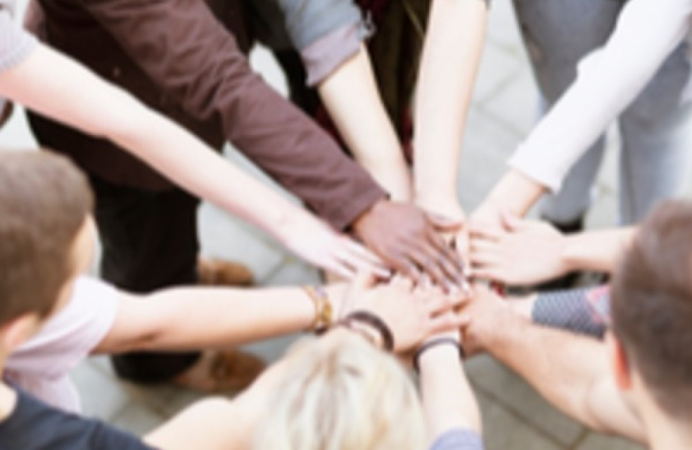 Civil Society and Social Innovation Alliance Logo