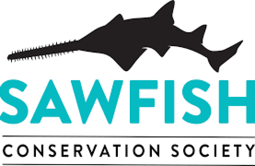 Sawfish Conservation Society Logo