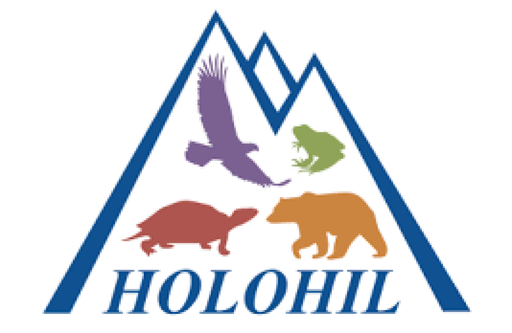 Holohil Logo