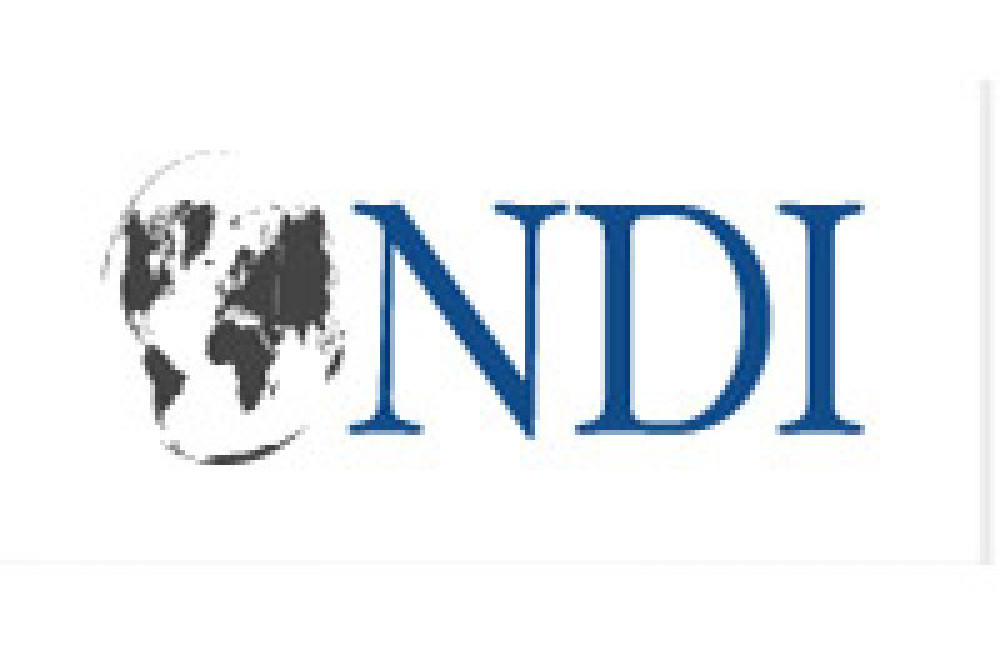 The National Democratic Institute (NDI) Name