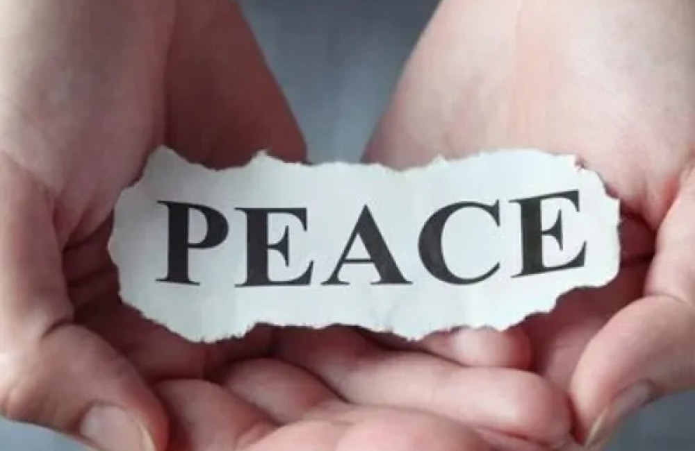 Peace of Mind Foundation Logo