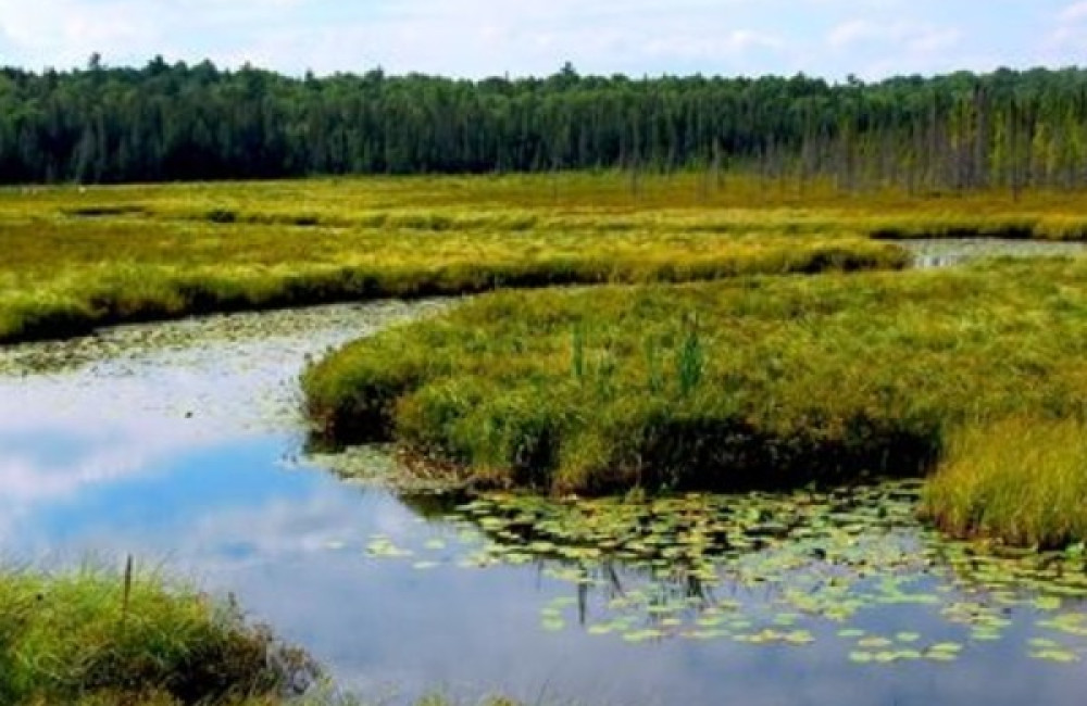 European Outdoor Conservation Association (EOCA) Name