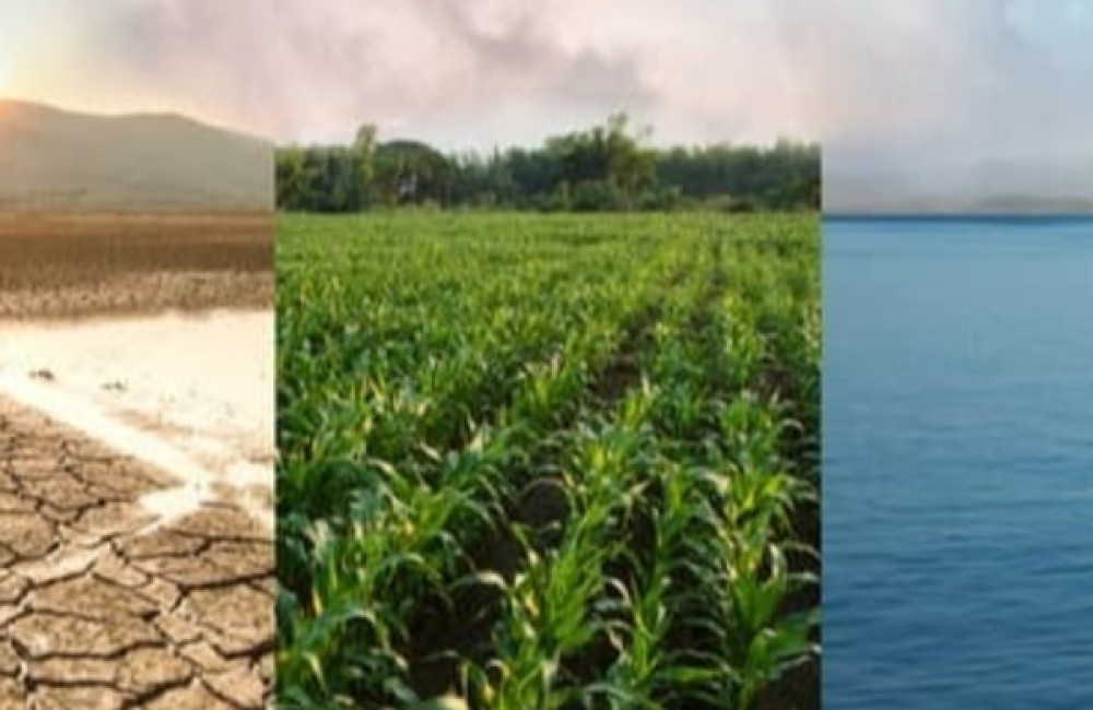 Climate Policy Initiative Logo