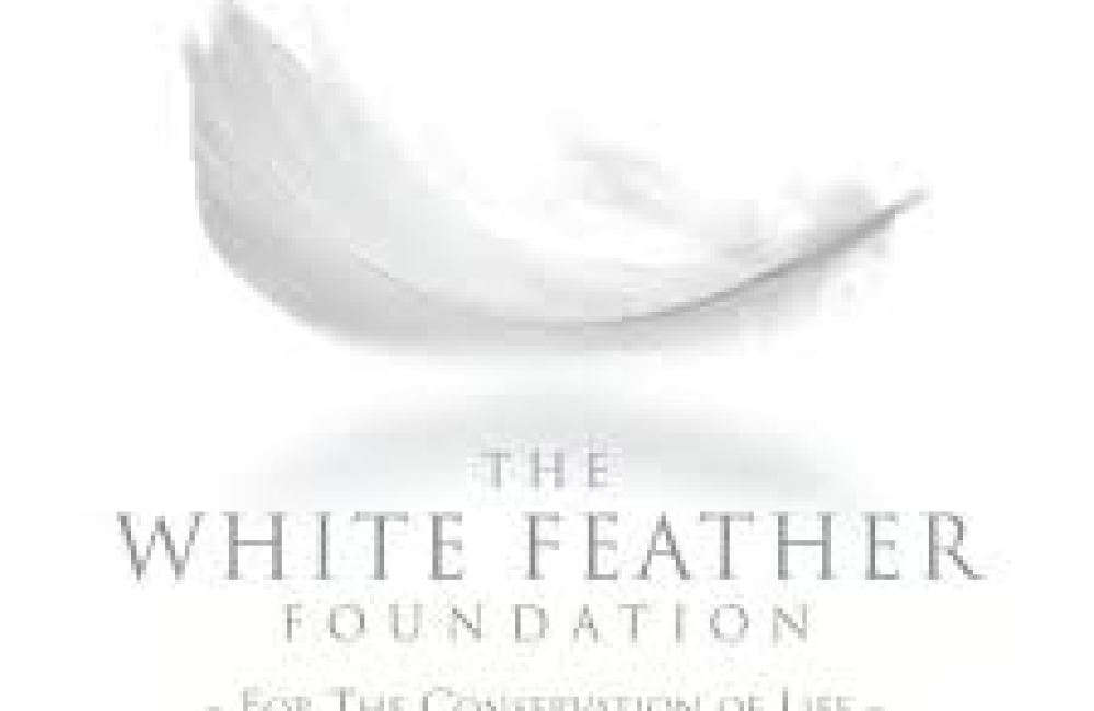 The White Feather Foundation Logo