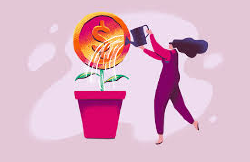 bloomerang Logo