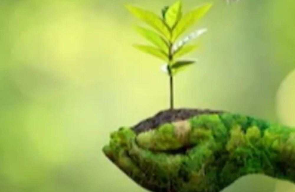 Conservation X Labs Logo