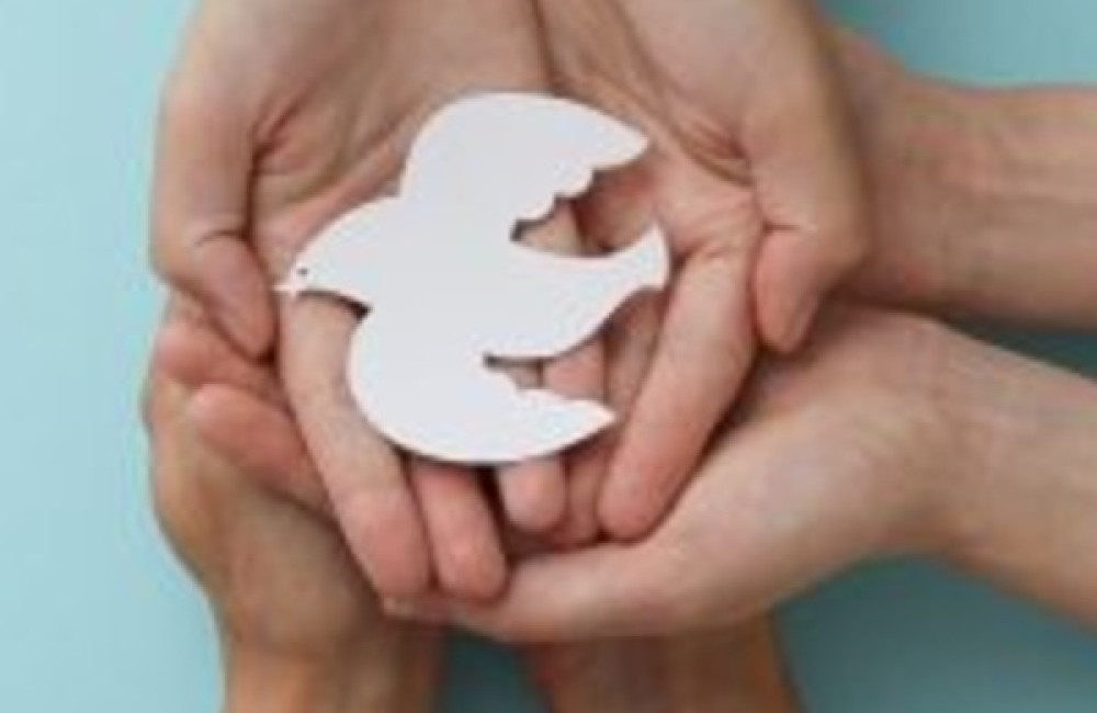 International Catalan Institute for Peace Logo