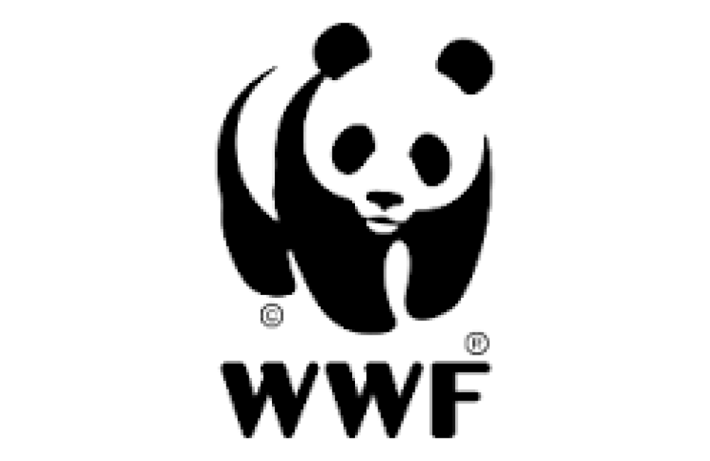 World Wide Fund for Nature Logo