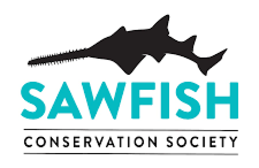 Sawfish Conservation Society Logo