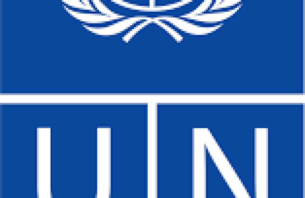 UNDP Logo