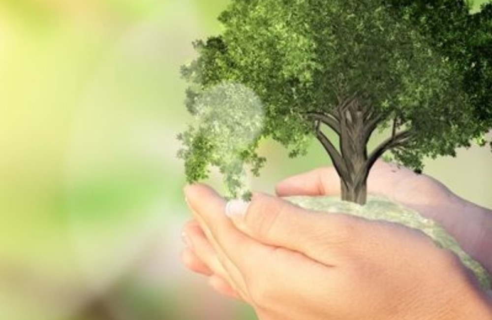 Play ForNature Logo