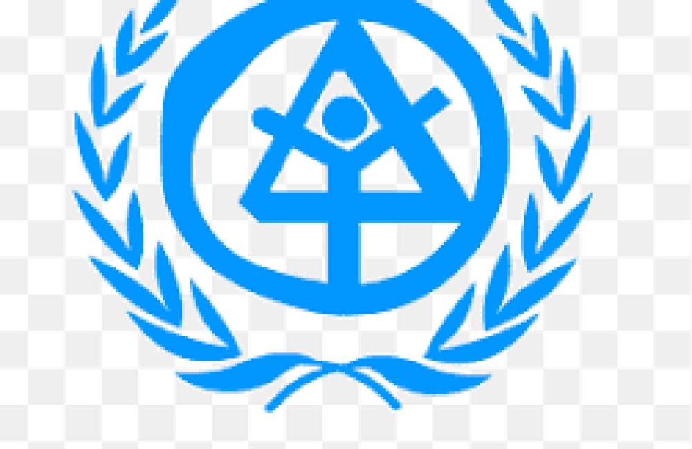 United Nations Human Settlements Programme Logo