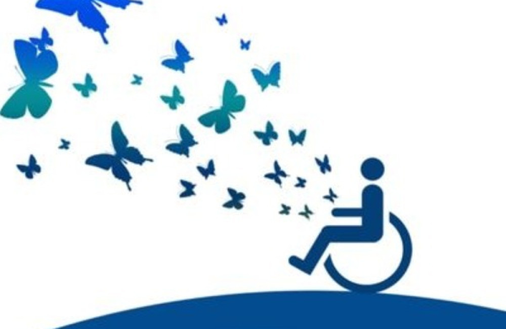 Disability Rights Fund (DRF) Name