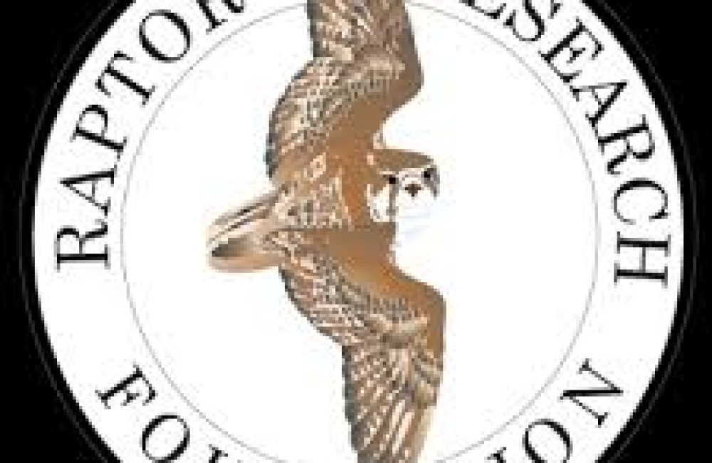 Raptor Research Foundation Logo
