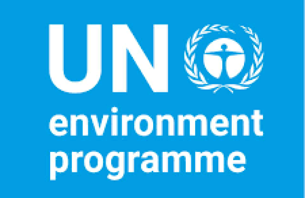 United Nation Environment Programme Logo