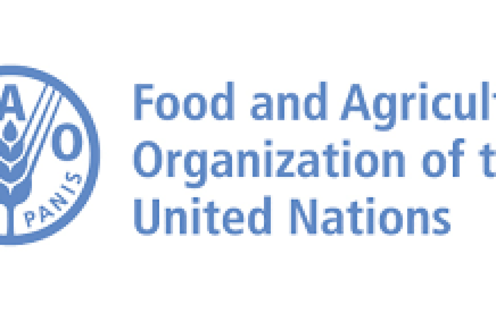 Food and Agriculture Organization of the United Nations (FAO) Logo