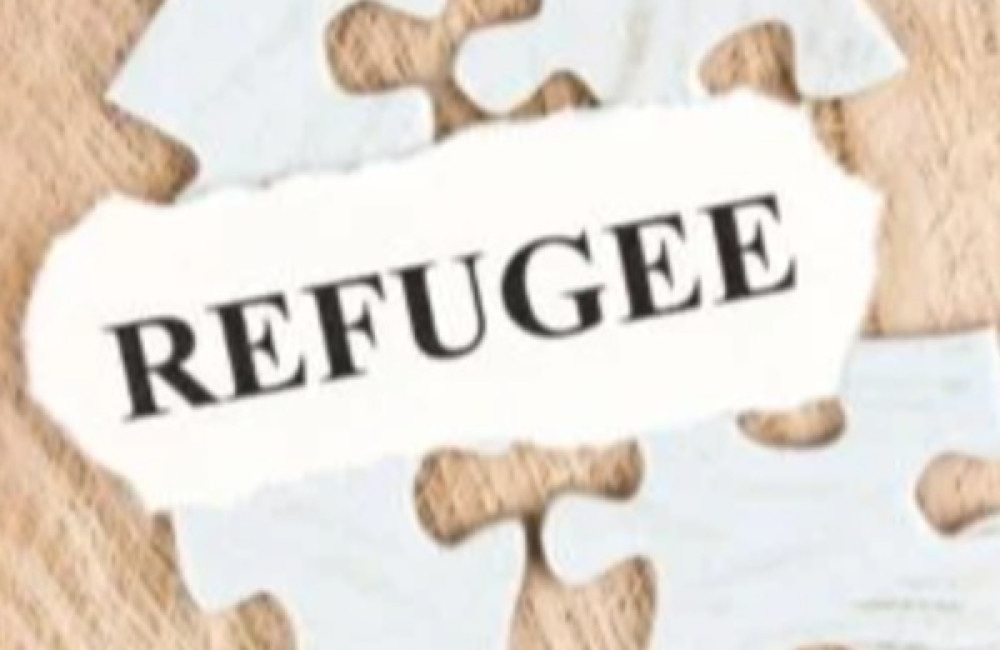Refugees International Logo