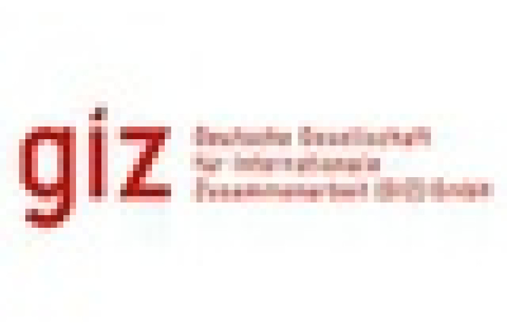 GIZ Logo