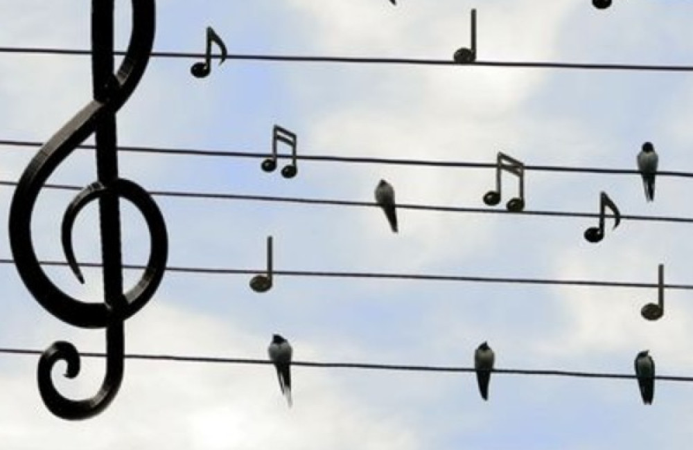 Latin GRAMMY Cultural Foundation Name