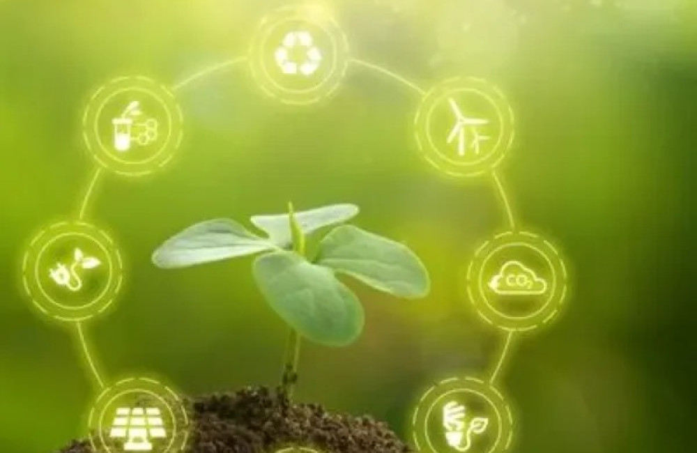 The Biomimicry Institute Logo