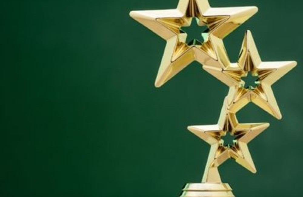 The Diana Award Logo