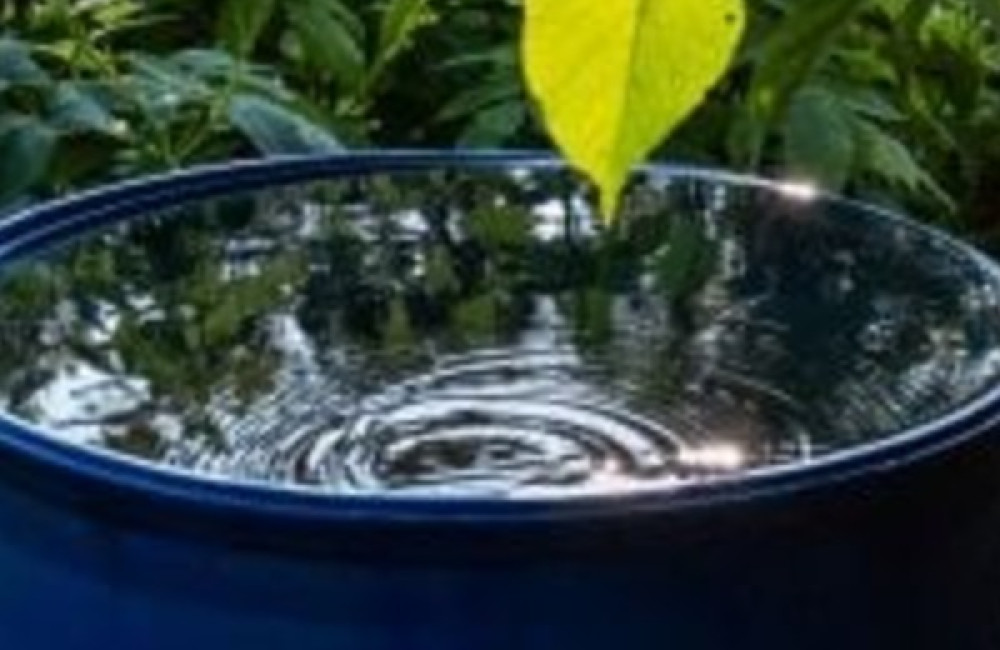 Global Water Operators’ Partnerships Alliance Name