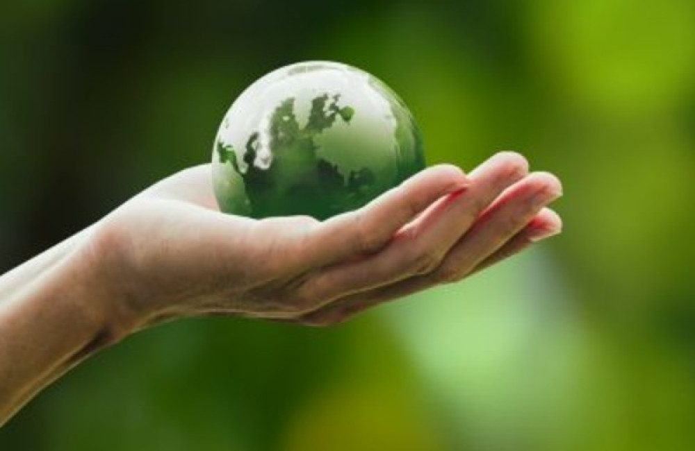 World Wide Fund for Nature Logo