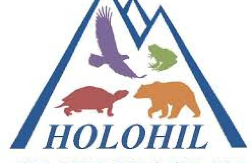 Holohil Logo