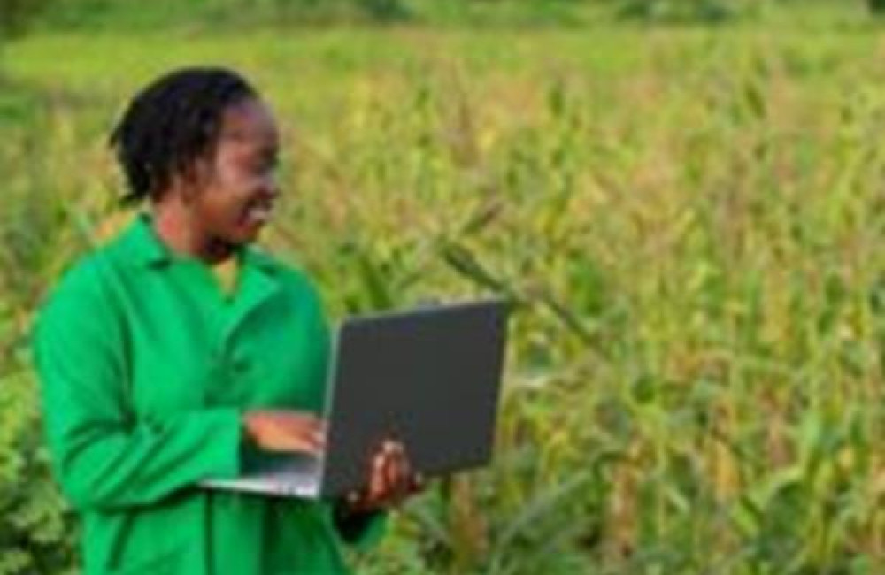 African Plant Nutrition Institute Name