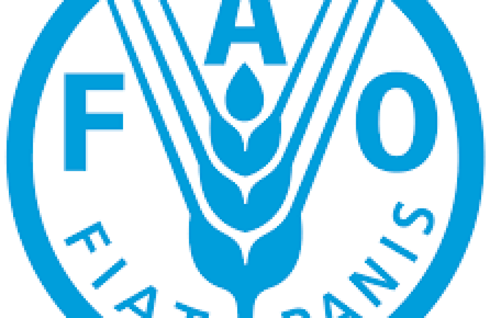 Food and Agriculture Organization (FAO) Logo