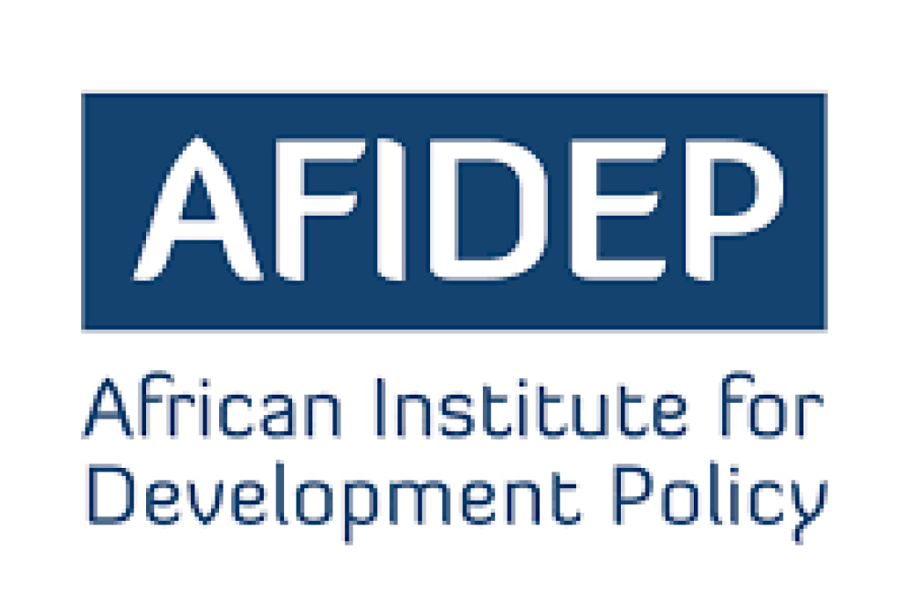 African Institute for Development Policy (AFIDEP) Logo