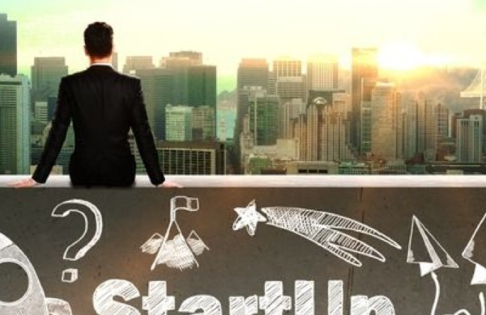 Flämingo Startup Hub Logo