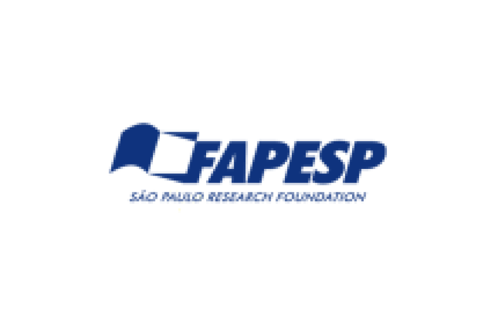 São Paulo Research Foundation Logo
