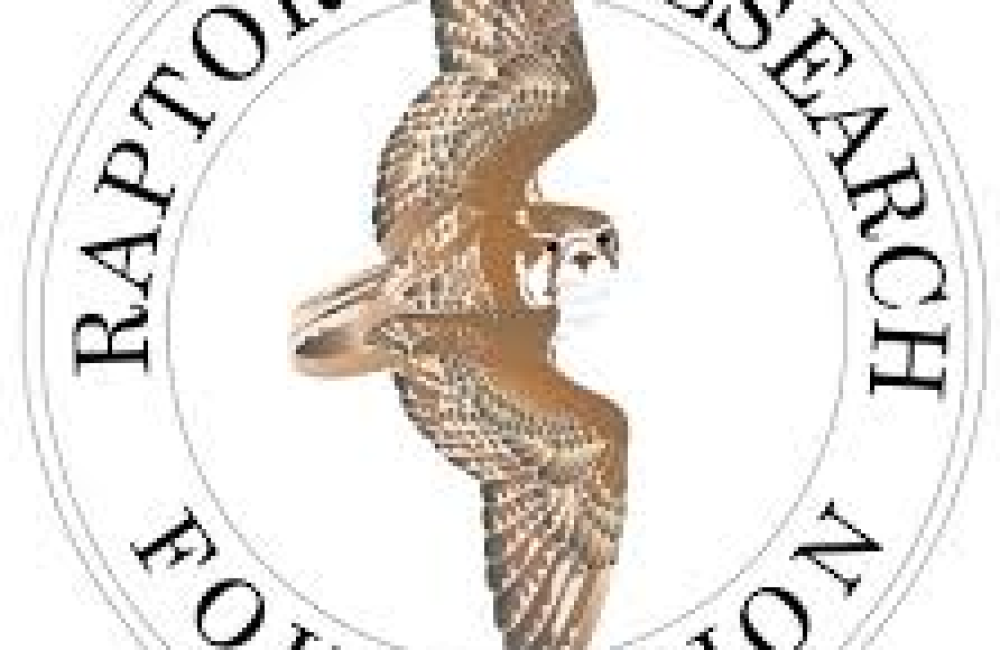 Raptor Research Foundation Logo