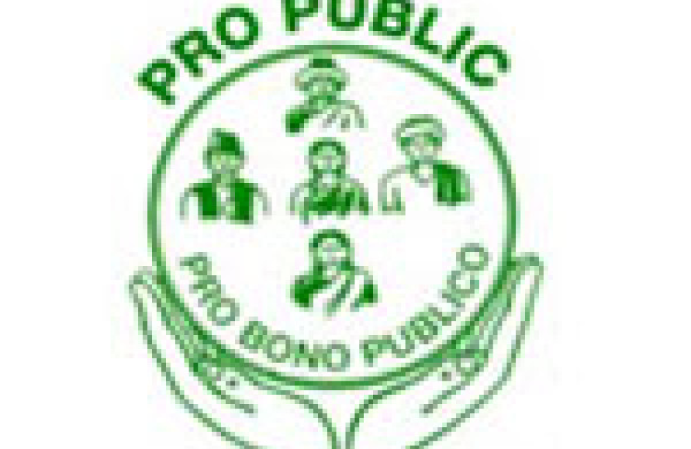 Pro Public Logo
