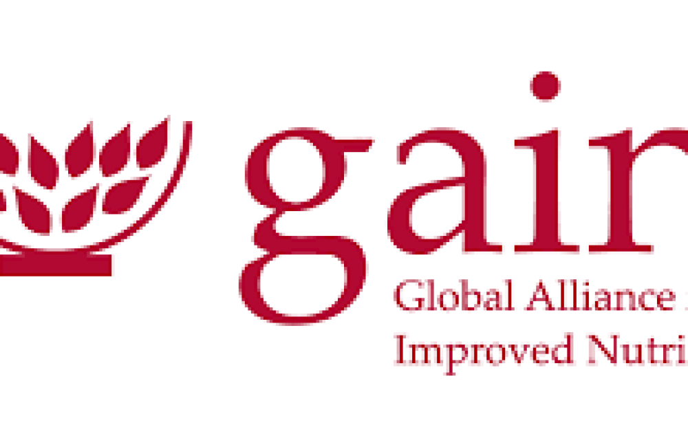 Global Alliance for Improved Nutrition Name
