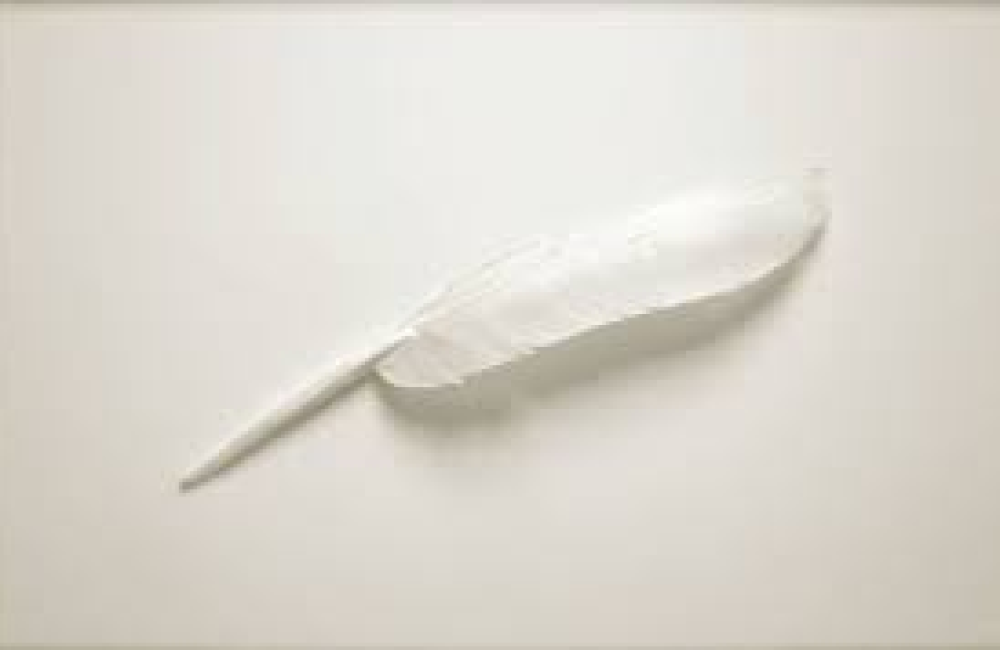 The White Feather Foundation Logo
