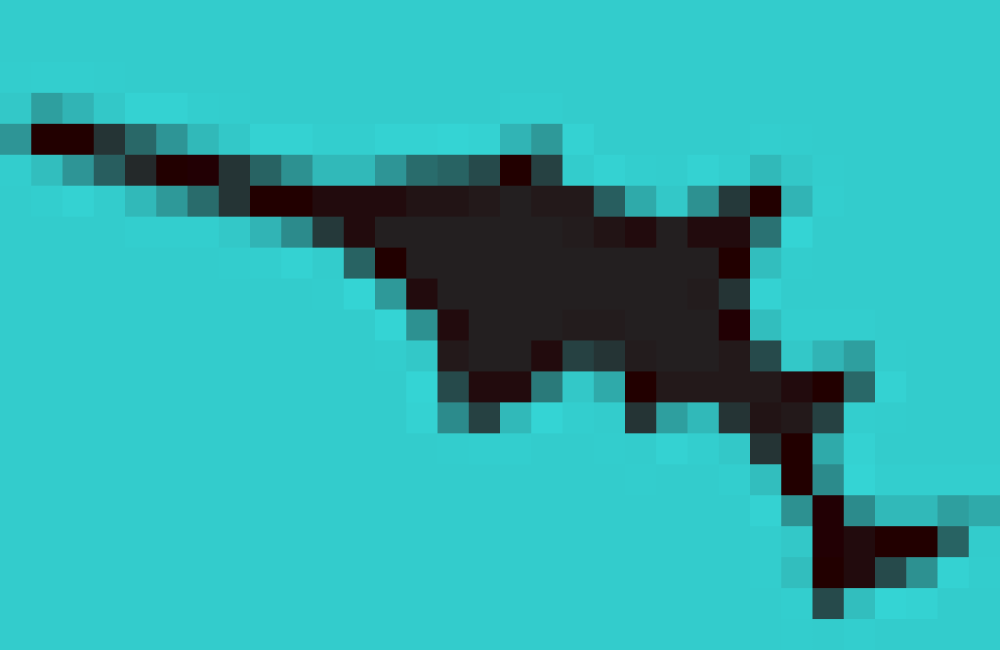 Sawfish Conservation Society Logo