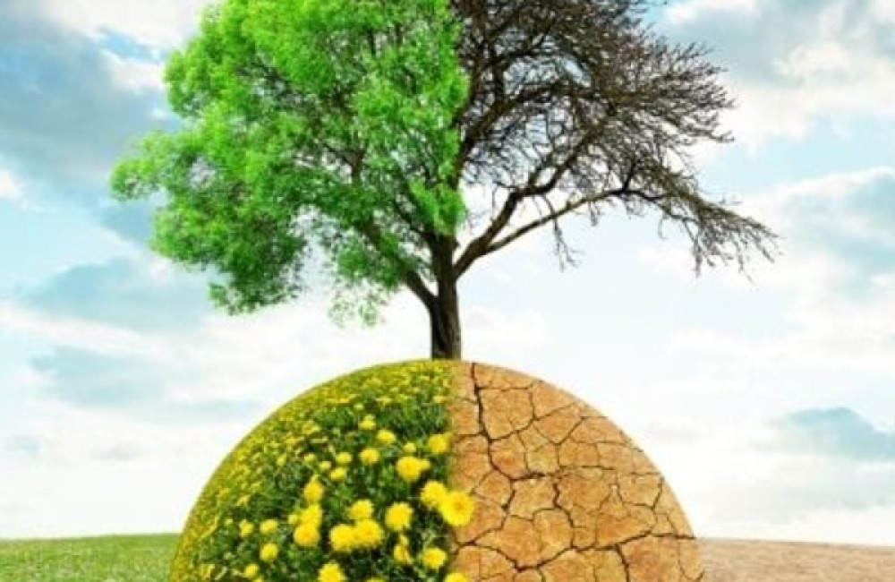 United Nations Children's Fund Logo