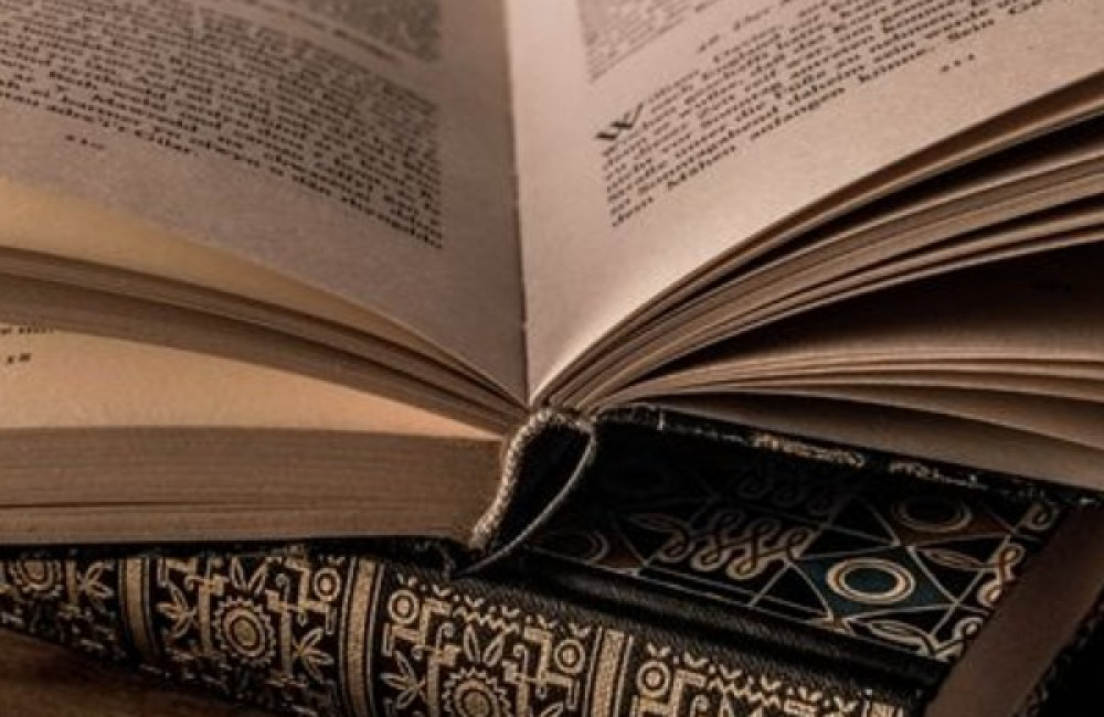 The Polish Book Institute Logo