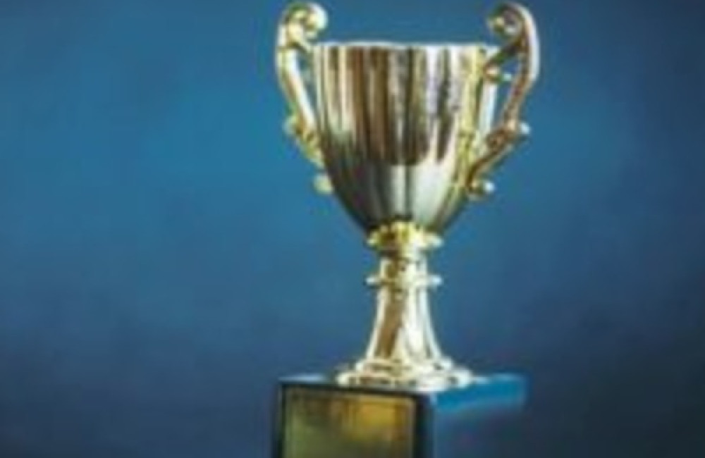 VinFuture Prize Logo