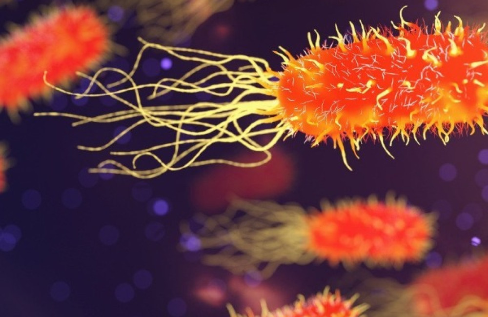 Innovate UK Business Connect Logo