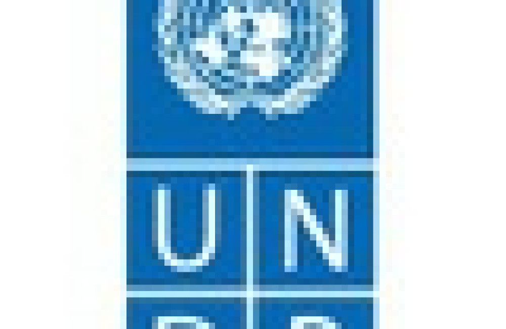 UNDP Procurement Name